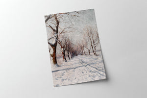 Snowy Winter Landscape