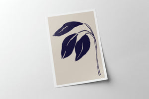 Folding Blue Irises