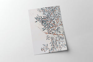 Apple Tree Branches