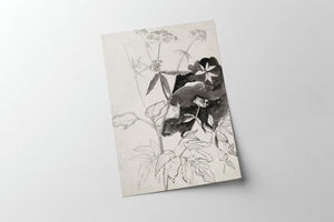 Flower Sketch