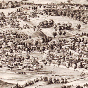 Vintage Map of Terryville, Connecticut 1894