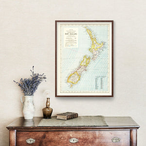 Vintage Map of New Zealand 1883