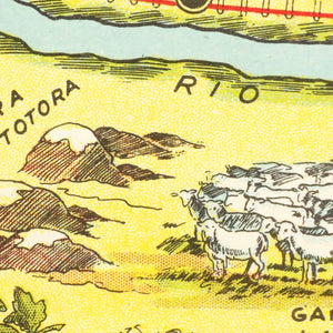 Vintage Map of Rio Negro, 1933