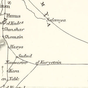 Vintage Map of Syria 1851