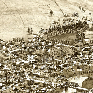 Vintage Map of Delhi, New York 1887