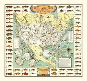 Vintage Map of Big Game Fish of America 1936