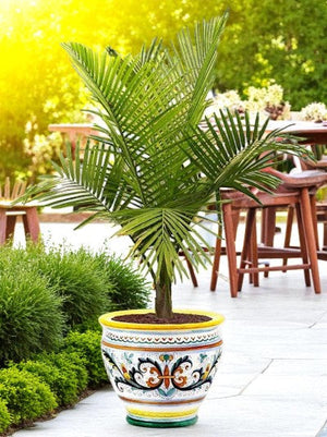 RICCO DERUTA DELUXE: Luxury Cachepot Planter MEDIUM