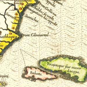 Vintage Map of Florida 1591
