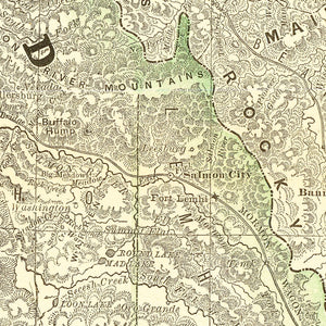 Vintage Map of Idaho 1884