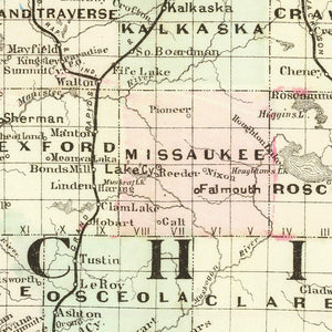 Vintage Railroad Map of Michigan 1879