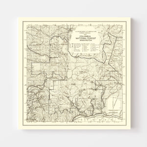 Vintage Columbia National Forest Map 1913