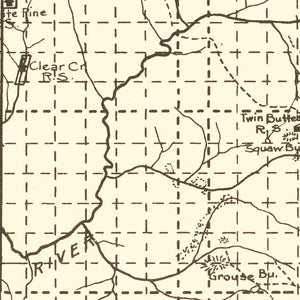 Vintage Columbia National Forest Map 1913
