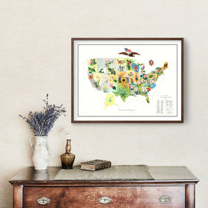 Vintage United States Flower Map, 1911