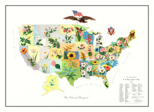 Vintage United States Flower Map, 1911