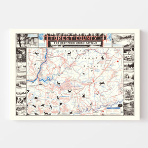 Vintage Map of Forest County, California 1957
