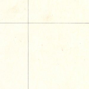 Vintage Map of Florida 1876