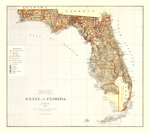 Vintage Map of Florida 1876