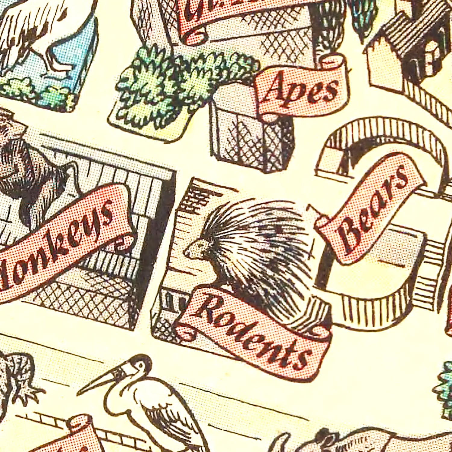 Vintage Map of Zoological Gardens Regent Park, 1947