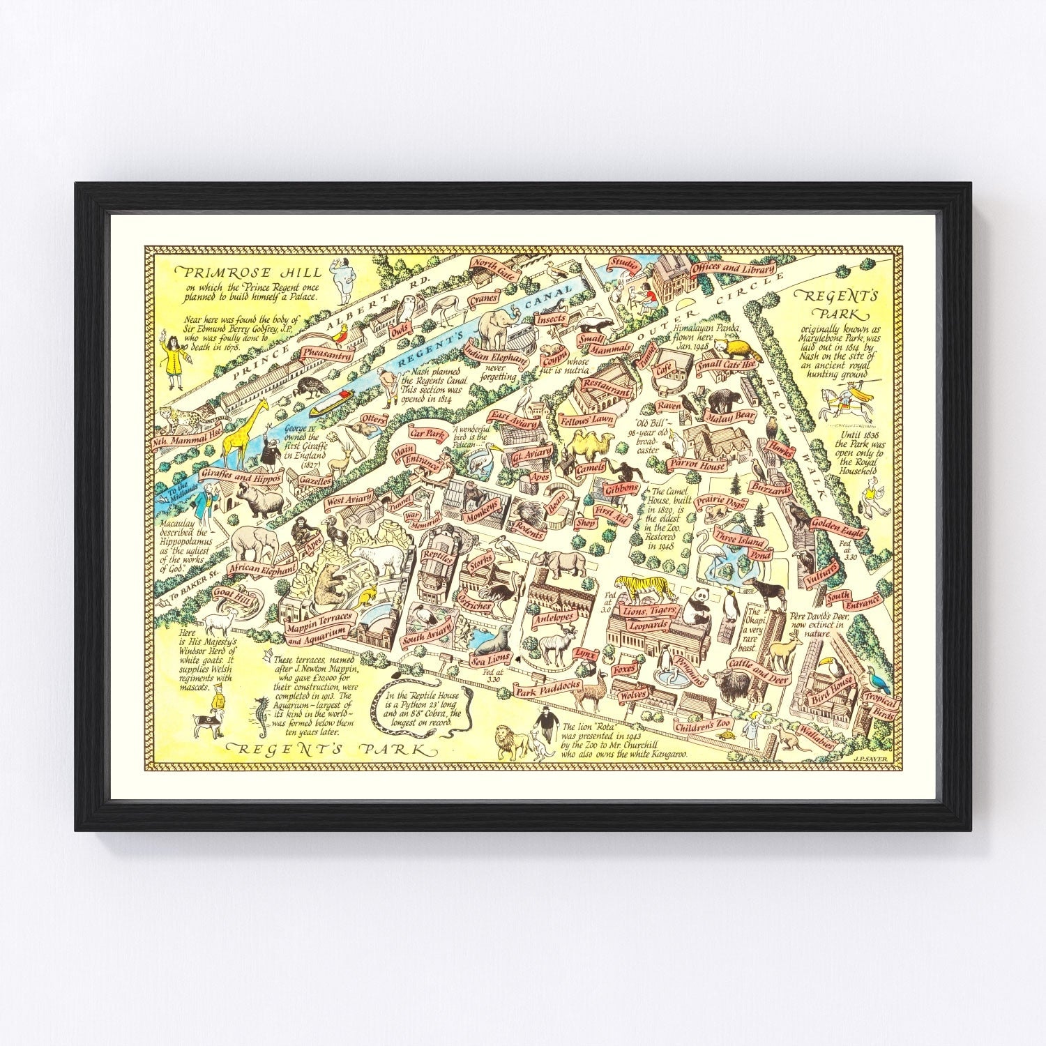 Vintage Map of Zoological Gardens Regent Park, 1947