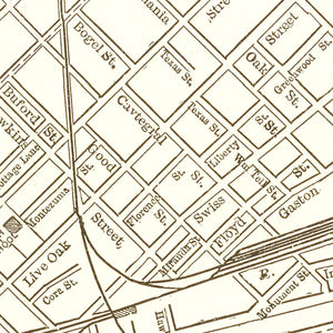 Vintage Map of Dallas, Texas 1893