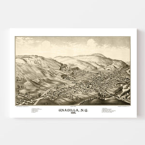 Vintage Map of Undadilla, New York 1887