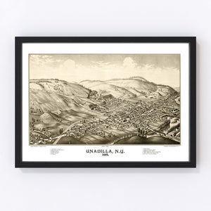 Vintage Map of Undadilla, New York 1887