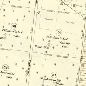 Vintage Map of Calistoga, California 1871