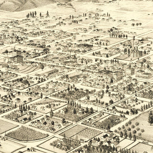 Vintage Map of Santa Barbara, California 1877