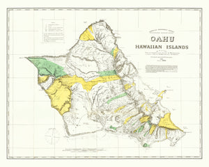 Vintage Map of Oahu, 1881