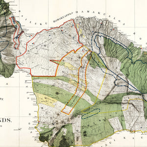 Vintage Map of Maui, 1903