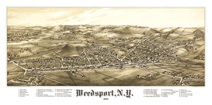 Vintage Map of Weedsport, New York 1885