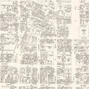 Vintage Map of Baltimore, MD Business Section 1947