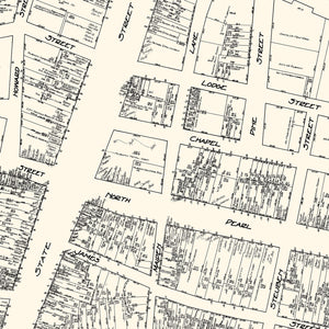 Vintage Map of Albany, NY Business Section 1929