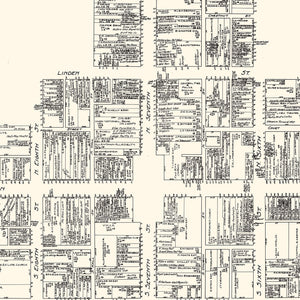 Vintage Map of Allentown, PA Business Section 1929
