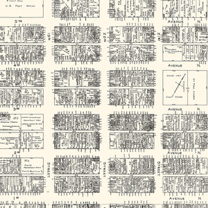 Vintage Map of Birmingham, AL Business Section 1929