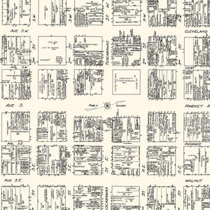 Vintage Map of Canton, OH Business Section 1929