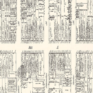 Vintage Map of Columbia, SC Business Section 1929
