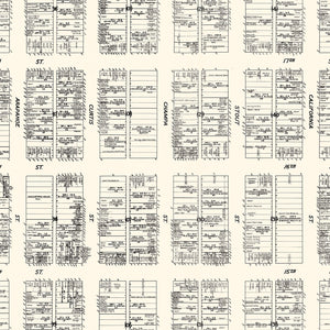 Vintage Map of Denver, CO Business Section 1929