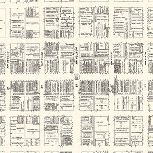 Vintage Map of Evansville, IN Business Section 1929