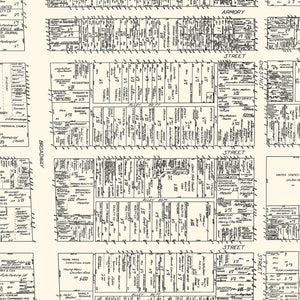Vintage Map of Louisvillle, KY Business Section 1929