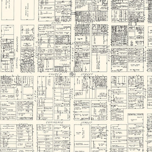 Vintage Map of Nashville, TN Business Section 1929