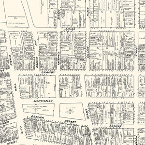 Vintage Map of Norfolk, VA Business Section 1929