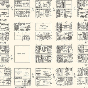 Vintage Map of Omaha, NE Business Section 1929