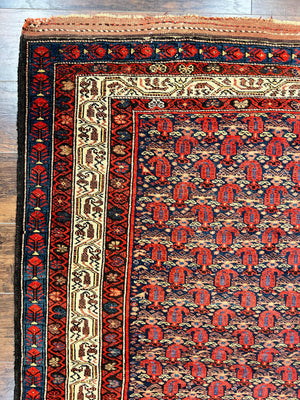 Persian Kurdish Rug 5x6, Wool Hand Knotted Vintage Carpet, Red Blue Cream, Boteh Paisley Pattern, 5 x 6 Medium Sized Oriental Rug