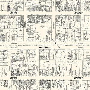 Vintage Map of Santa Barbara, CA Business Section 1929