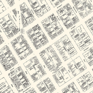 Vintage Map of Seattle, WA Business Section 1929