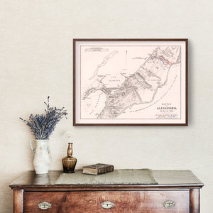 Vintage Map of the Battle of Alexandria, 1801