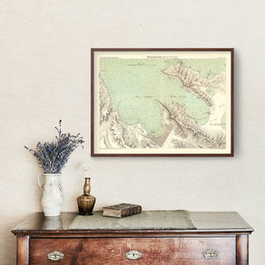 Vintage Map of Wellington, New Zealand 1881