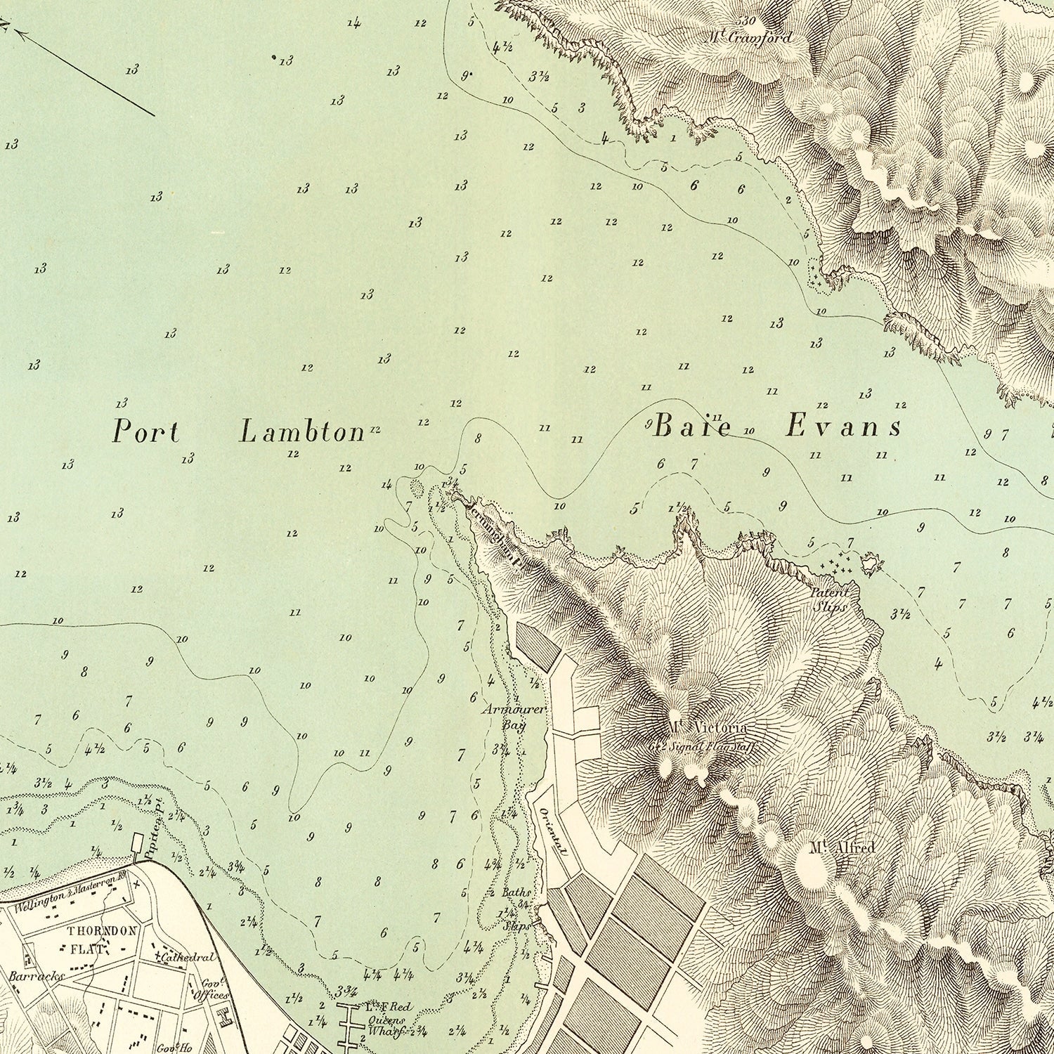 Vintage Map of Wellington, New Zealand 1881