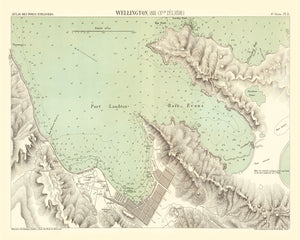 Vintage Map of Wellington, New Zealand 1881